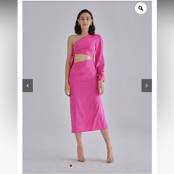 NEW without Tags SILK MAISON Pink Palace Silk Dress - Picture 2 of 11